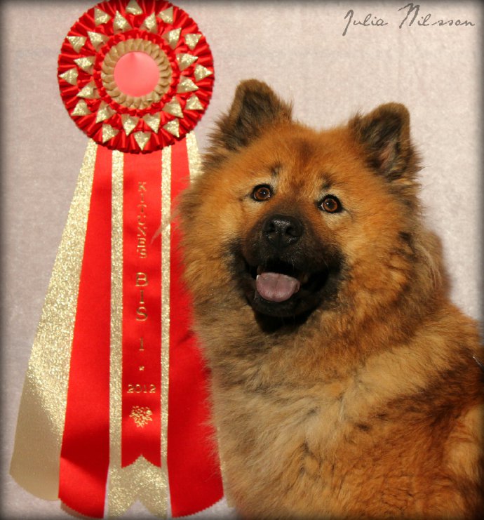 201212301115502250_sbig