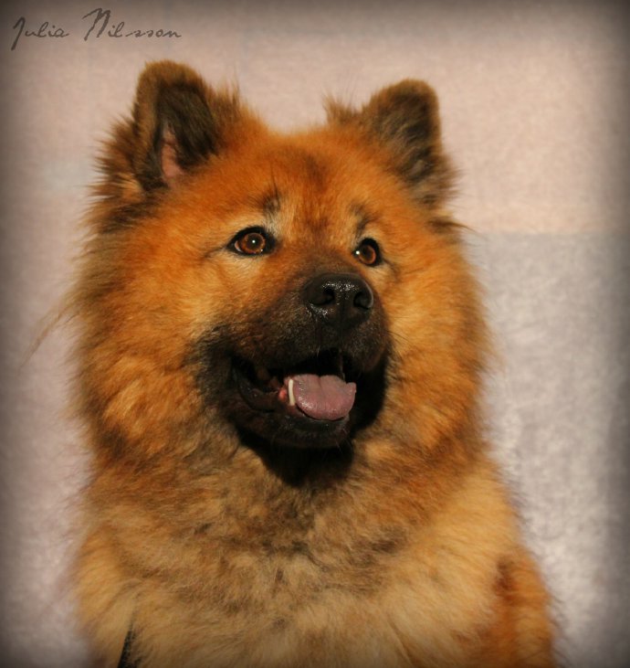 201212301115564180_sbig