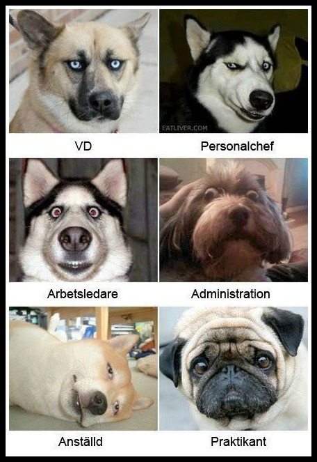 480580_454062767974198_2141276080_n