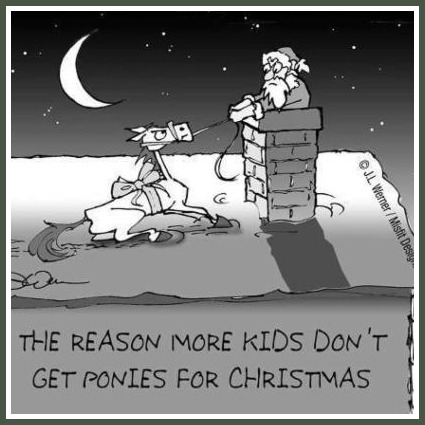 532399_10152349797920344_1162062993_n