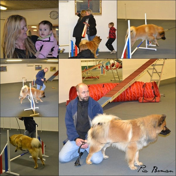 page1_50df3ada9606ee5a9037e4b5