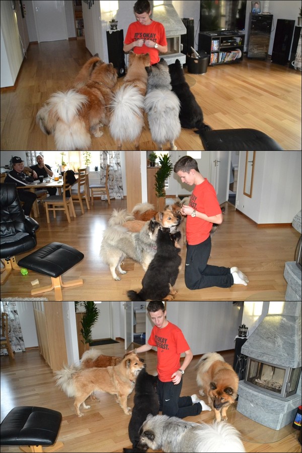 page1_50e9c919e087c30a91e40770