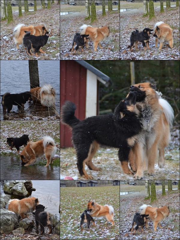 page1_50eef461ddf2b31be703e949