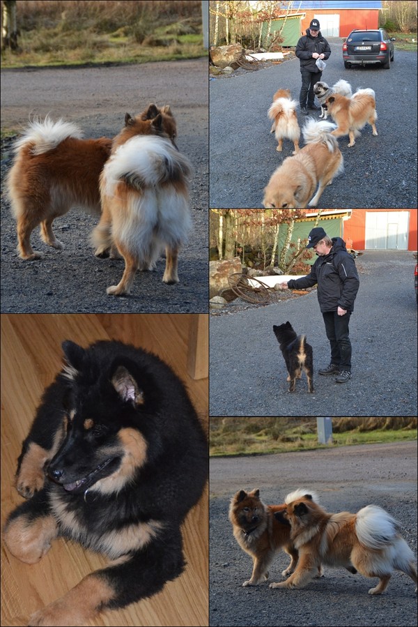 page2_50e9c8b2e087c30a40312afa