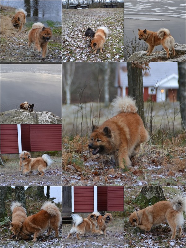 page2_50eef49de087c36363a5b2f2