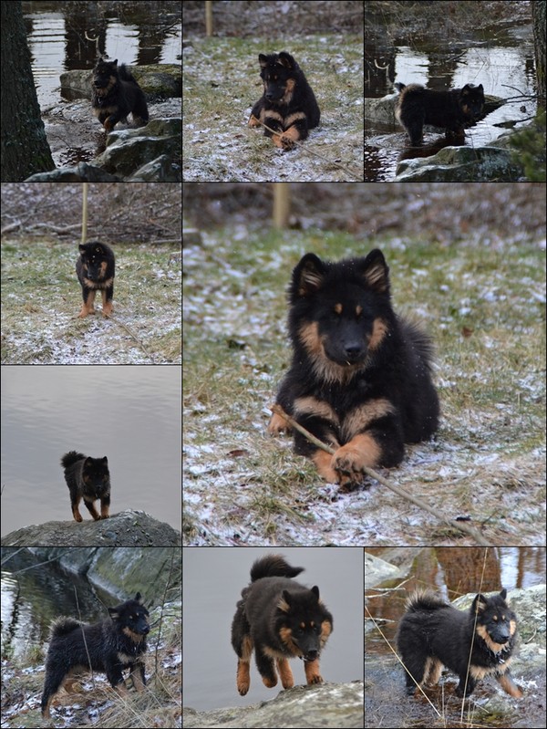 page_50eef42cddf2b31be6f31f92