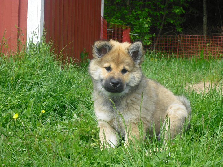 255427_2114020567203_7774593_n