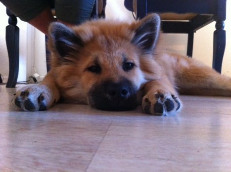 283555_2275099394073_4687467_n