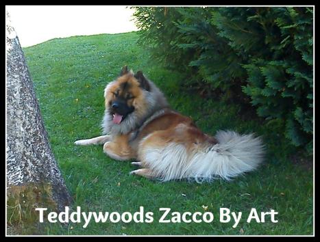 486470_4281398390294_1940723994_n