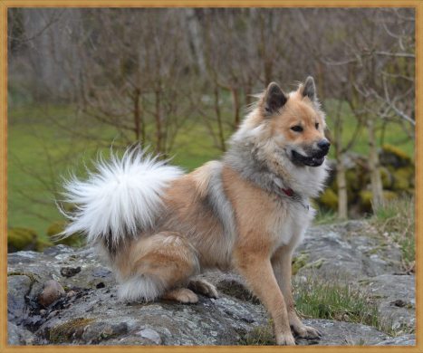 576819_3751501663207_915356024_n