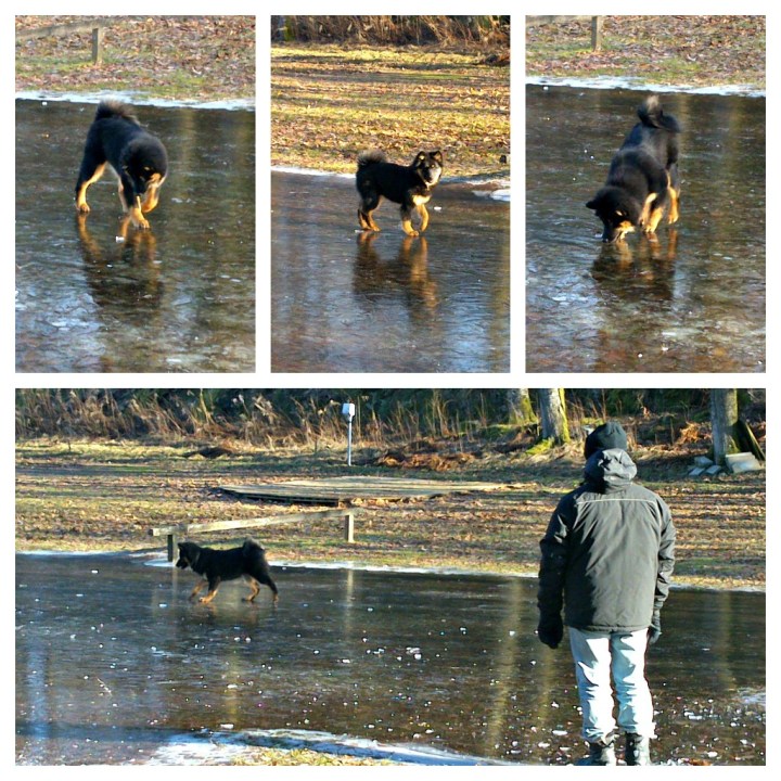 PicMonkey Collage1