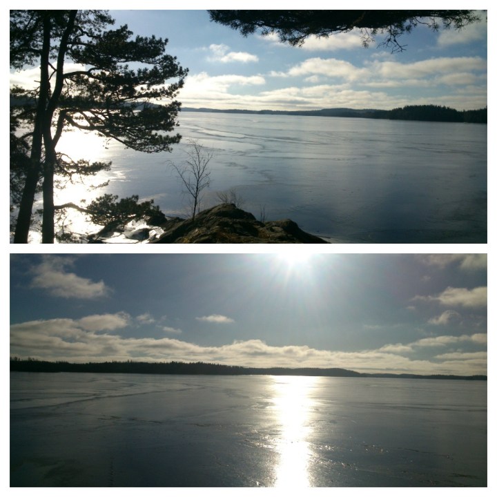 PicMonkey Collage2