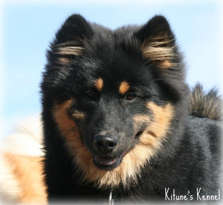 225465_497660280271070_1521106950_n