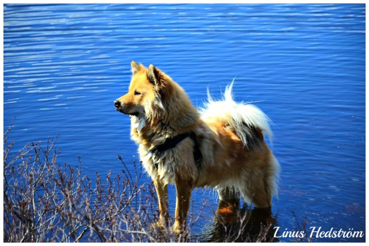 37060_10200799180083393_720575630_n