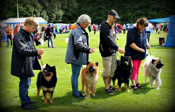 1063137_10201021138123498_960043719_n