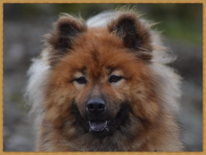 149425_3751488662882_1299579241_n