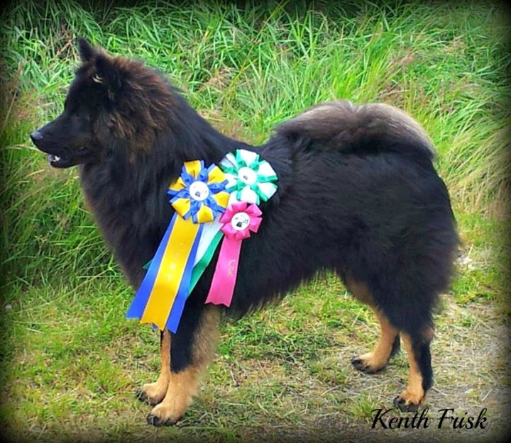 17507_638144839530906_1640254467_n