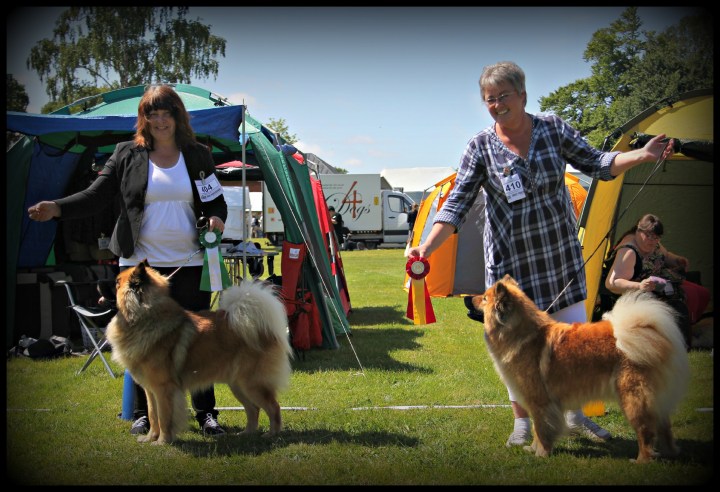 2013-06-08 Vänersborg Zacco BIM och Zelda BIR