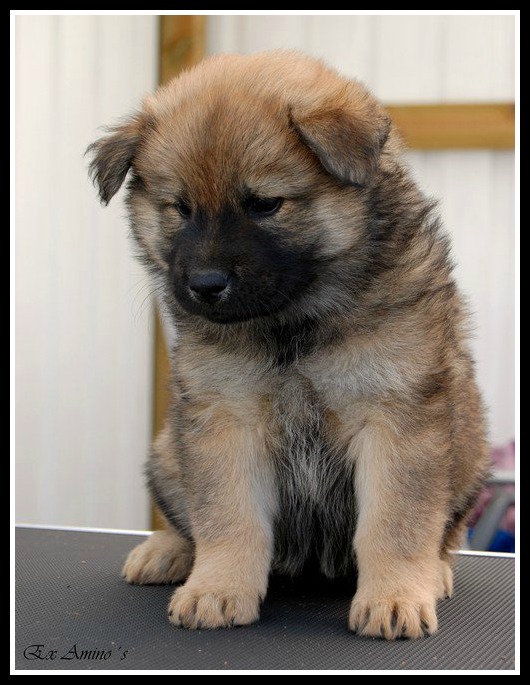 222062_2047889513968_4988834_n