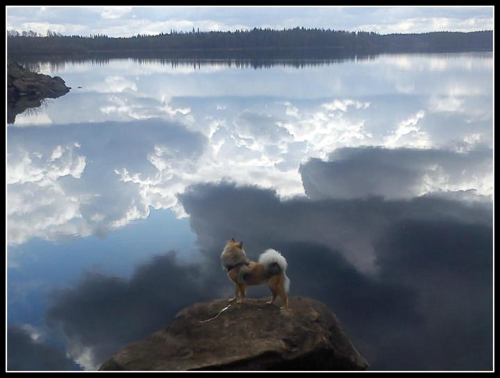 470317_3671113933564_728941648_o