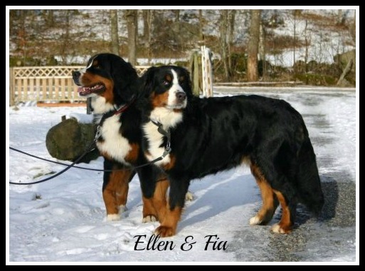 5814_1217115105127_2706622_n