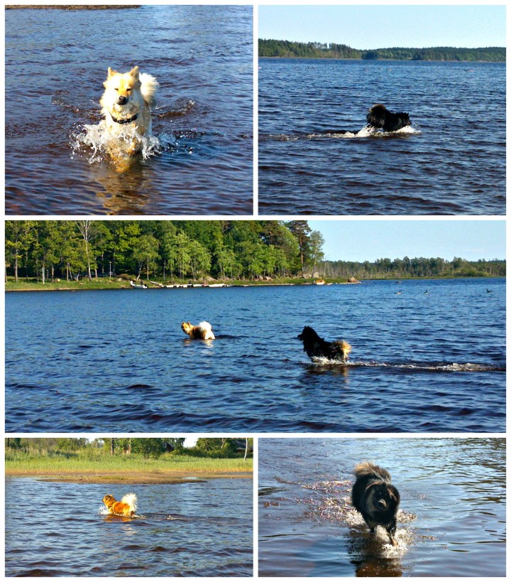 PicMonkey Collage1