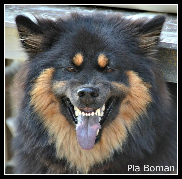 DSC_0321 - kopia (2)1