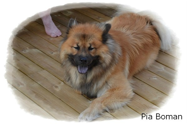 dsc_0325_51e0e470ddf2b35faea5d2f1