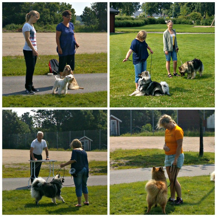 PicMonkey Collage2