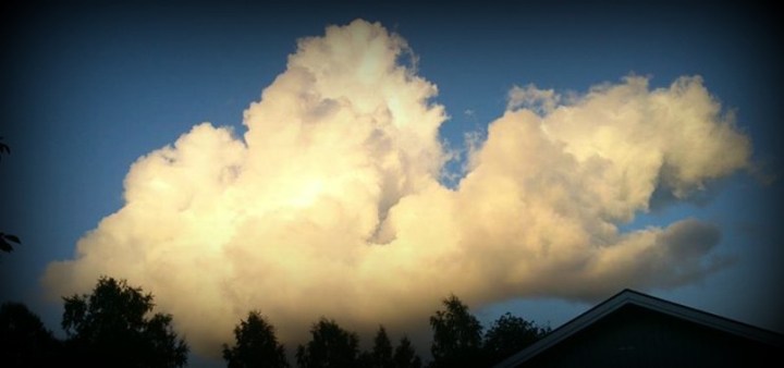 1017284_10201544072020773_547206920_n