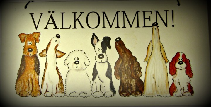 15630455-origpic-aa5a87