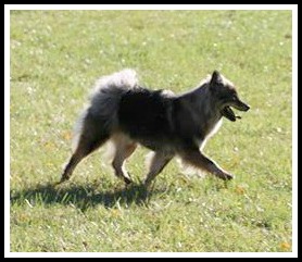 0e2da7c3-f880-48f0-a8b3-4fce3934e7ba3