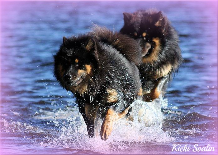 1383432_10151711026012106_1094754556_n1