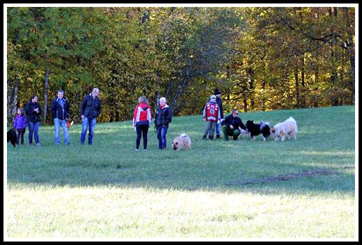 3651468e-a56b-4086-830c-5c5c16cc4e183