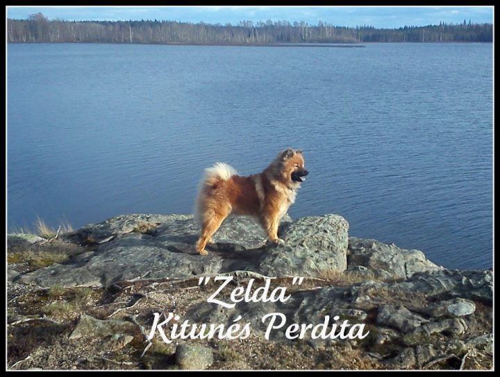 375151_3578708663490_928664815_n