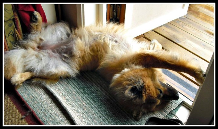 37751_1542434877918_7922330_n