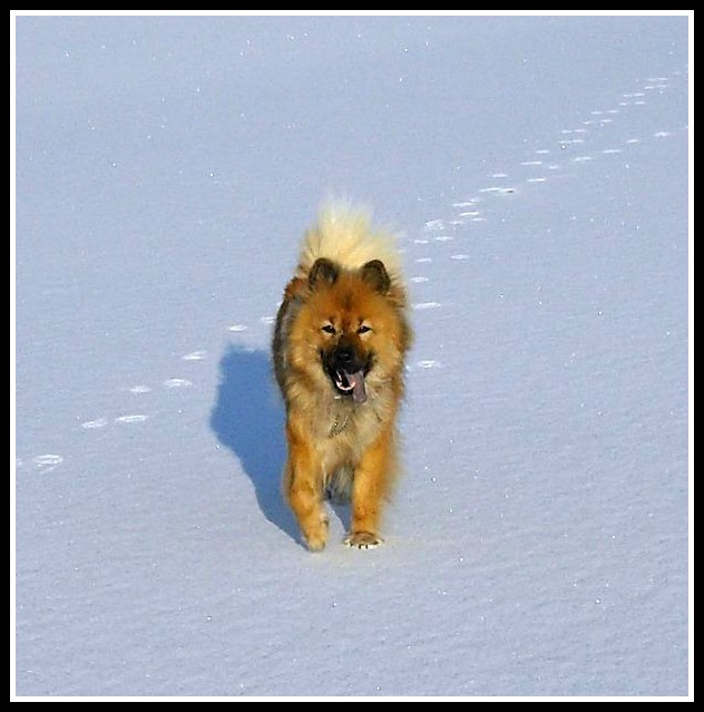 425171_3206650282263_464557999_n