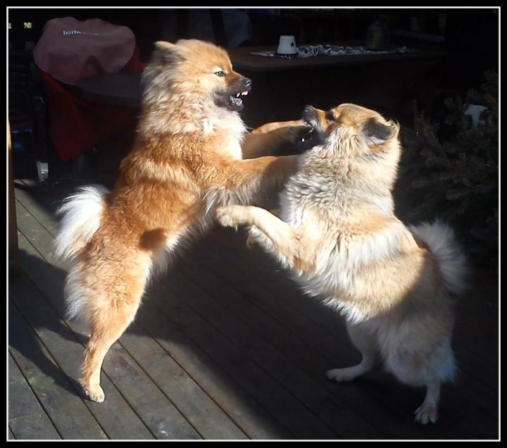 428172_3372748234608_1699521055_n