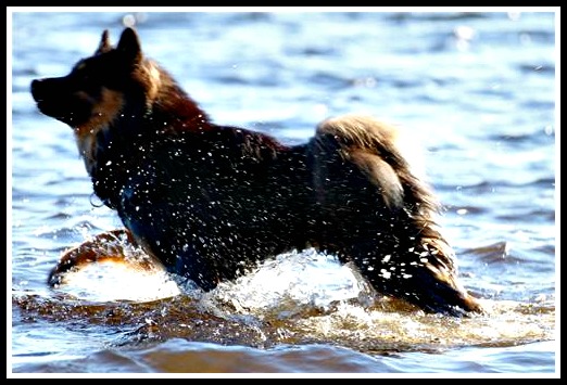 43196b84-0bfa-422f-abda-462a4d8fd37f3