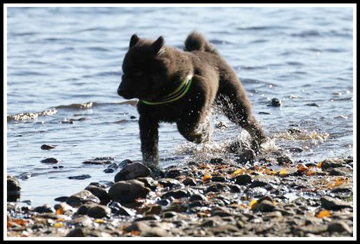 44d92d56-7d66-49c7-9acf-5752252847833