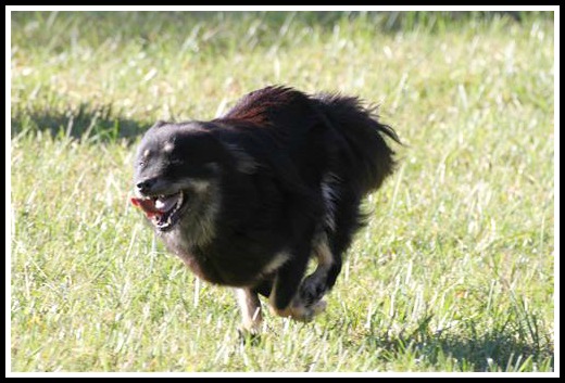 4f32c1e3-1039-437c-a0e5-96cbdd5ff7903