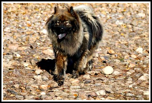 6129c402-70d8-4fb8-a3f1-3c28cd10d32c3