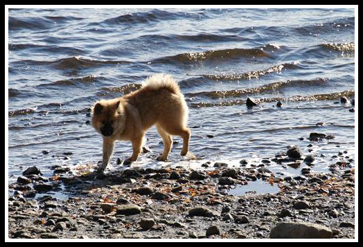 9e0fd26d-3cb5-46c6-828e-e6a3abefb33c3