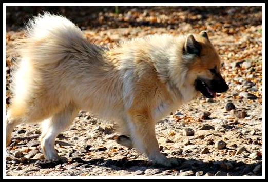 9e198c88-501d-4947-aa57-1bebed05182a3