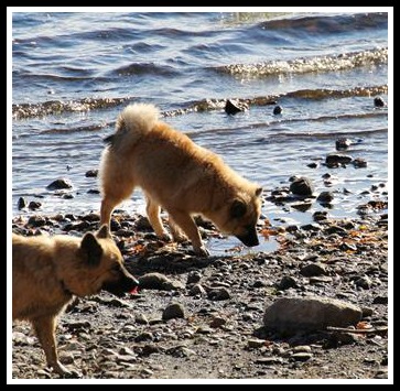 cf8ae8cb-c85c-46cd-b390-a5039e30b0383