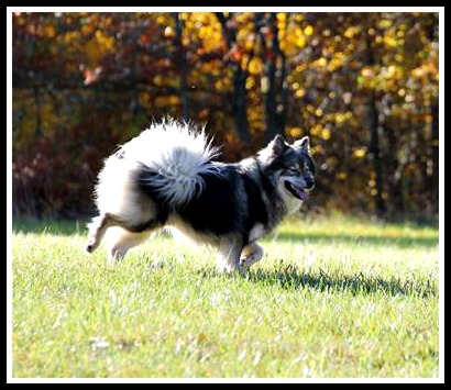 dd519caa-9b4e-4d52-a78c-9ec61cd7aa4a3