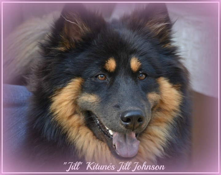 DSC_0331 - kopia (2)