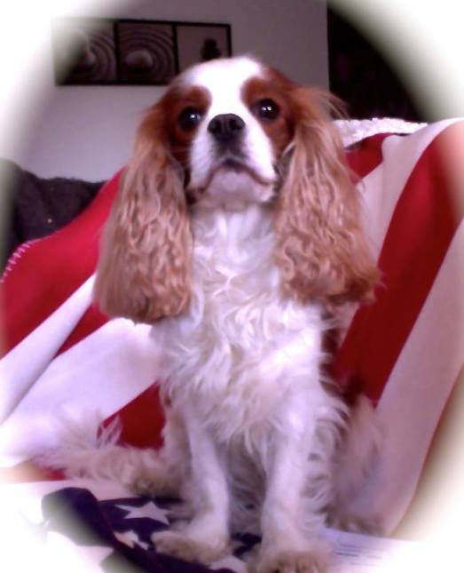 943333_10151954309003136_1882658696_n