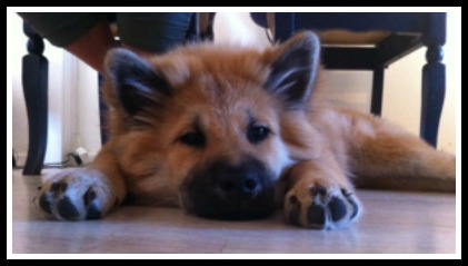 bild-3