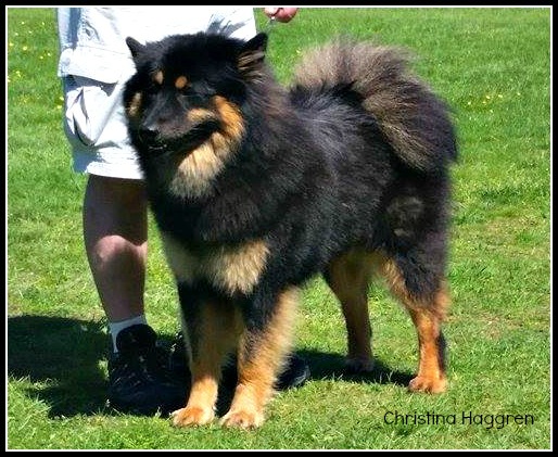 1544933_10203313658955086_4429723687479154416_n